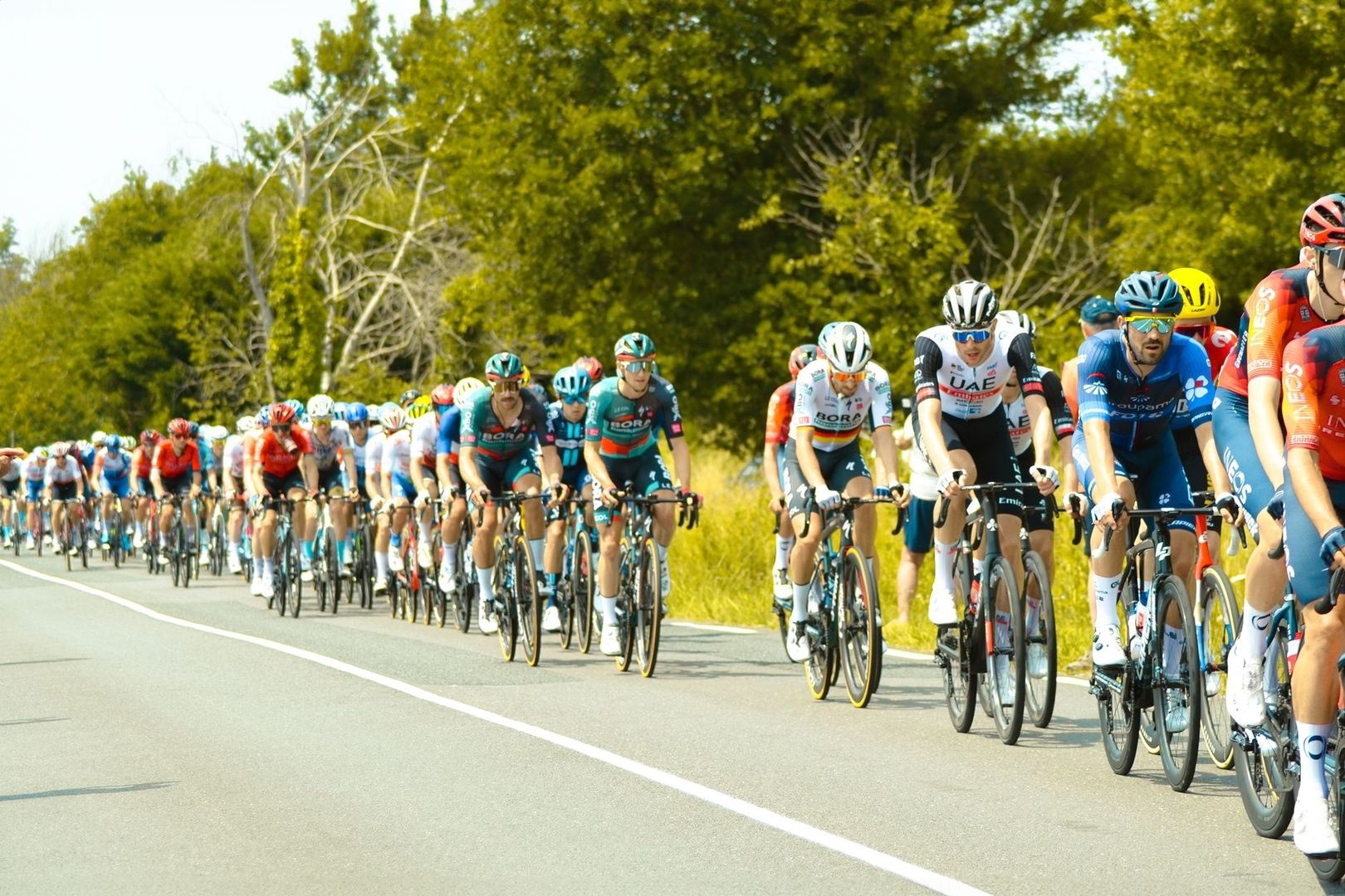 Pelotón de ciclistas dosificando el esfuerzo en una carretera arbolada
